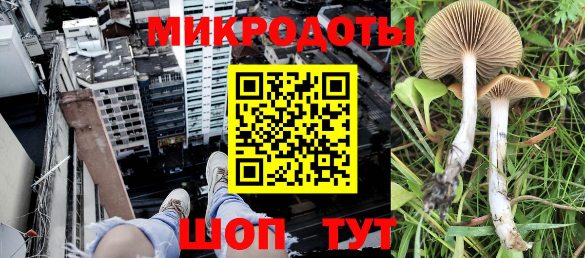Галлюциногенные грибы мицелий  Вход с VPN  где продают наркотики  Старая Купавна 